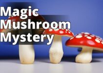 The Ultimate Guide To Amanita Muscaria: A Magical And Safe Psychoactive Herb