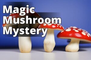 The Ultimate Guide To Amanita Muscaria: A Magical And Safe Psychoactive Herb