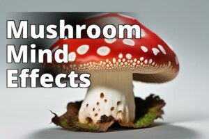 A Comprehensive Guide To Amanita Muscaria Dosage And Effects On The Body