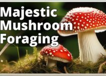 Uncovering The Secrets Of Amanita Muscaria Foraging: Your Ultimate Guide” And “How To Safely Forage And Prepare Amanita Muscaria Mushrooms