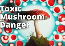 Amanita Muscaria Poisoning: Everything You Need To Know