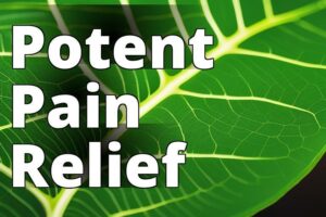 Experience Natural Pain Relief: The Kratom Solution