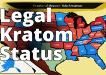 Kratom Legal Status: Your Complete State-By-State Guide
