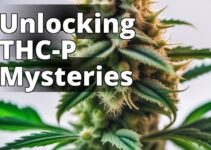 Understanding Thc-P: Potency, Effects, And Legal Status