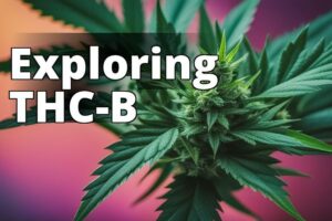 The Power Of Thc-B: Benefits, Side Effects, And More